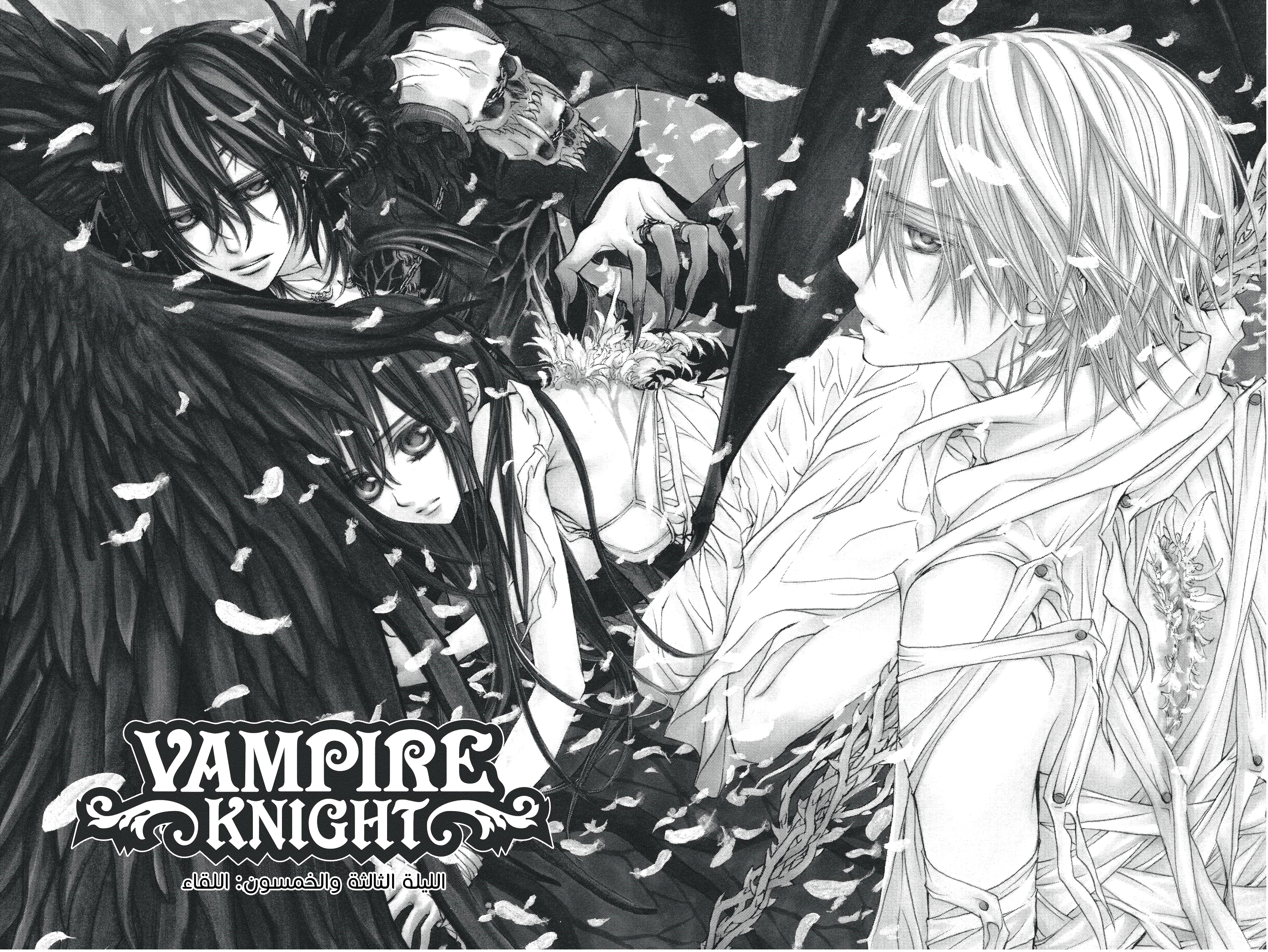 Read Vampire Knight AR Manga Online