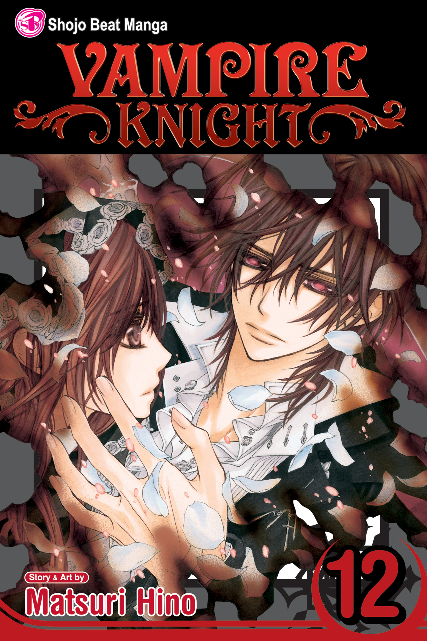 Read Vampire Knight AR Manga Online