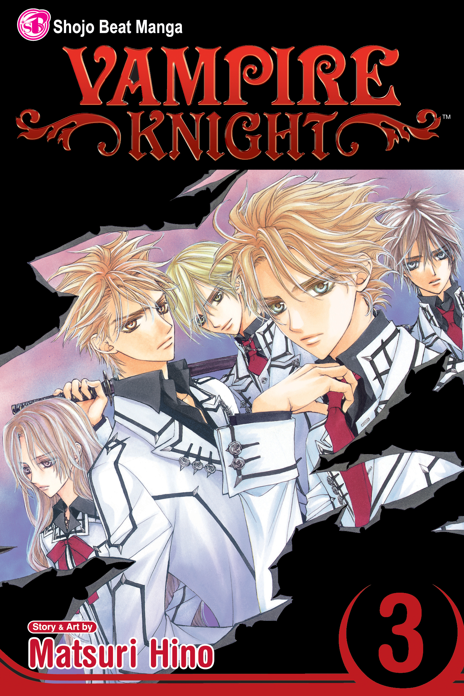 Read Vampire Knight AR Manga Online