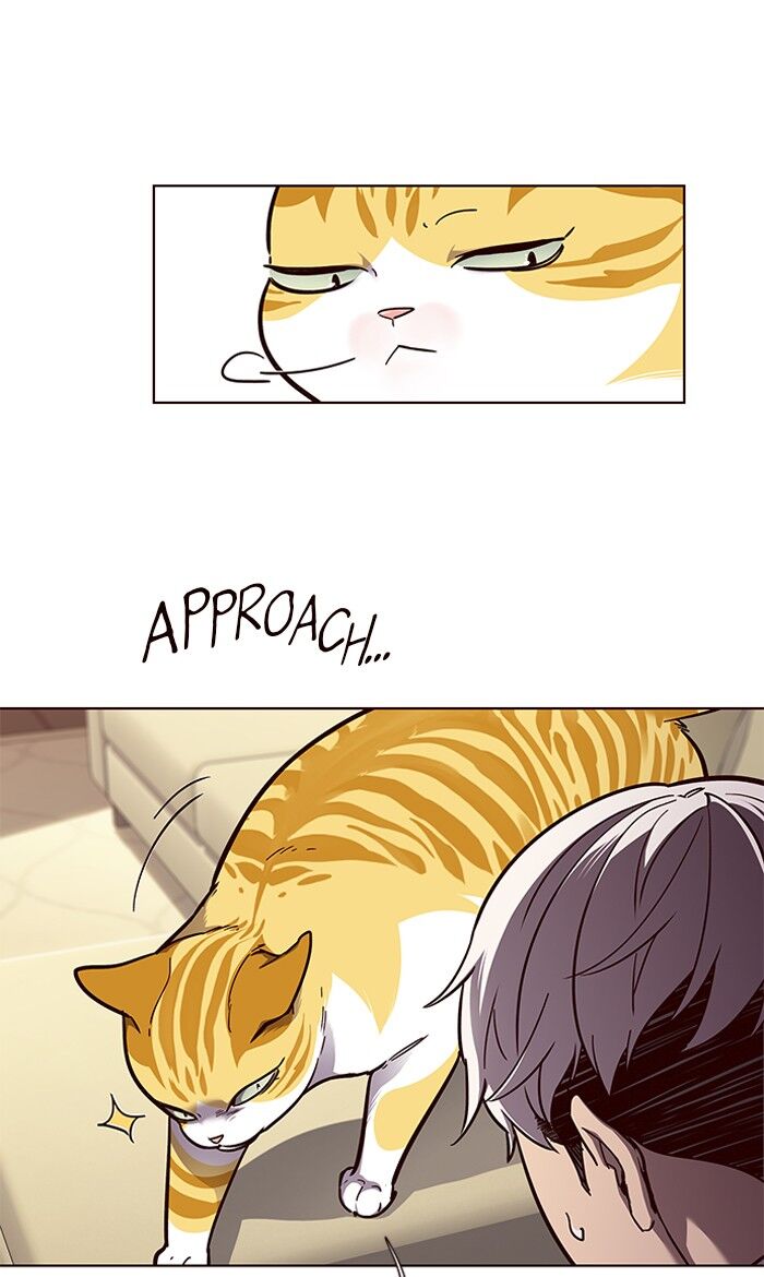 Read Eleceed – Manhwa EN Manga Online