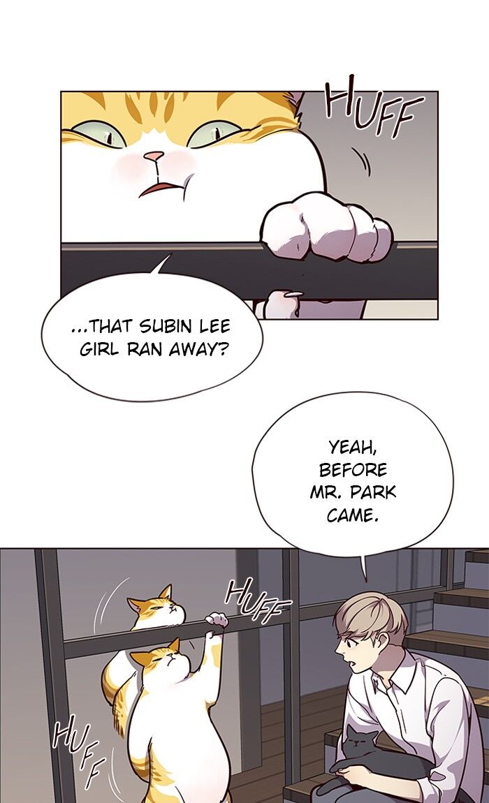 Read Eleceed – Manhwa EN Manga Online
