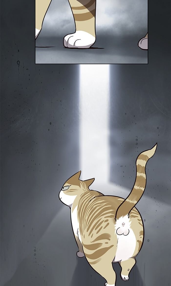 Read Eleceed – Manhwa EN Manga Online