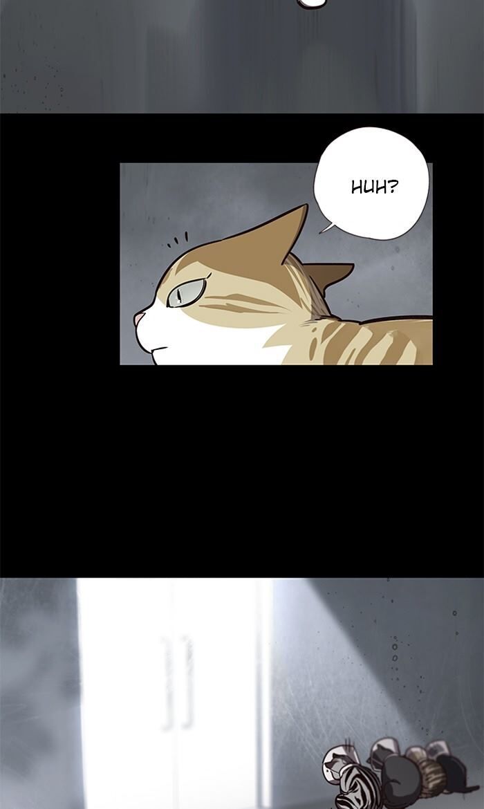 Read Eleceed – Manhwa EN Manga Online