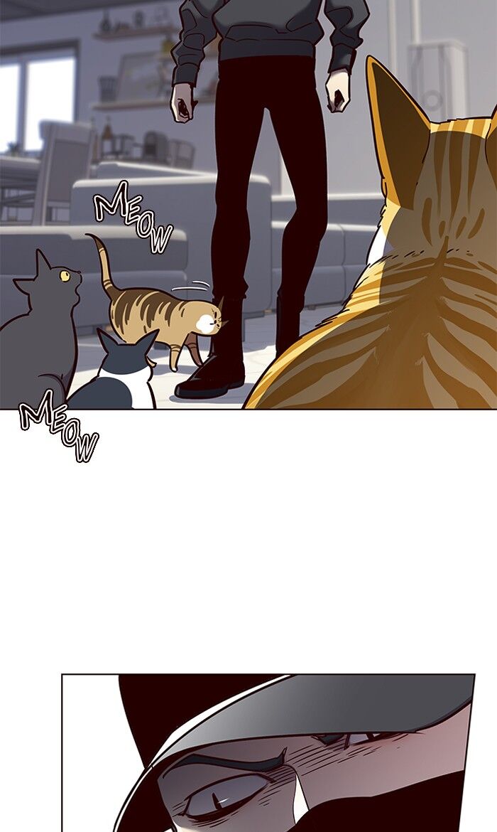 Read Eleceed – Manhwa EN Manga Online