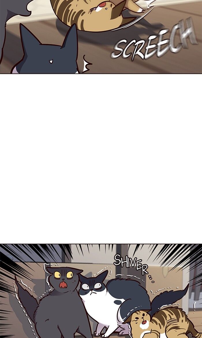 Read Eleceed – Manhwa EN Manga Online