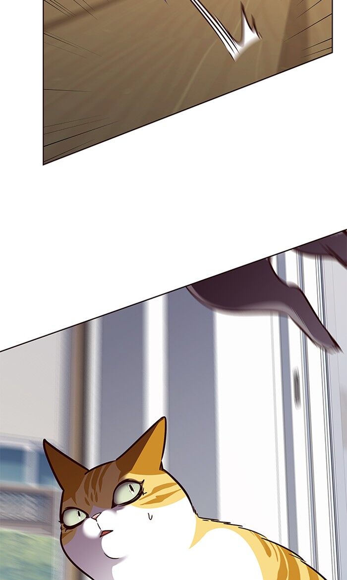 Read Eleceed – Manhwa EN Manga Online