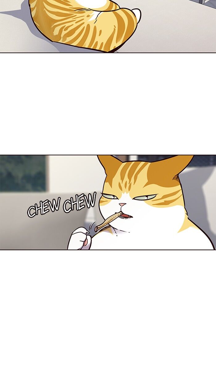 Read Eleceed – Manhwa EN Manga Online