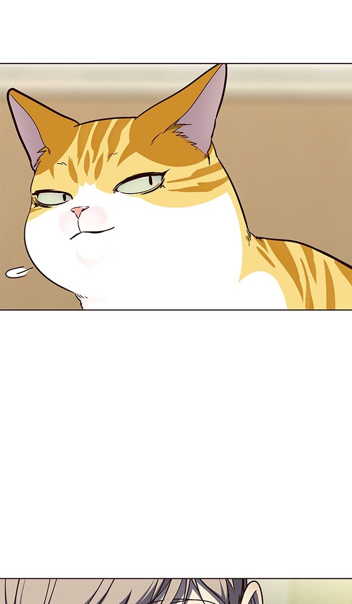 Read Eleceed – Manhwa EN Manga Online