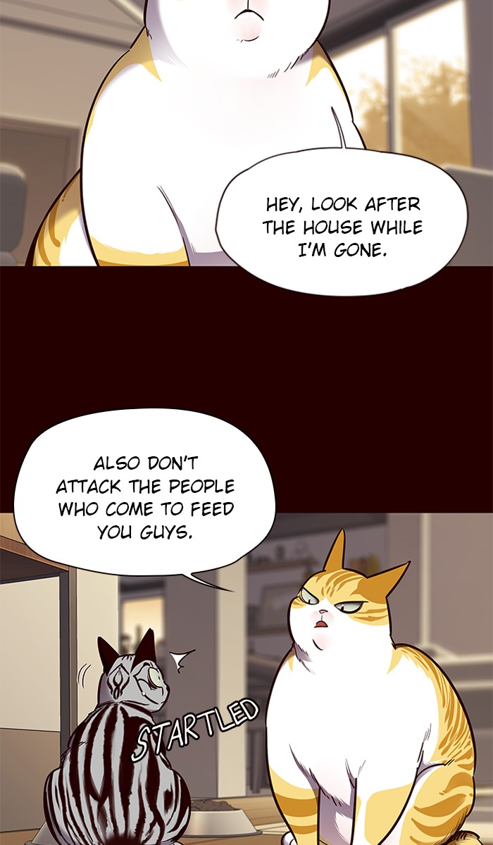 Read Eleceed – Manhwa EN Manga Online