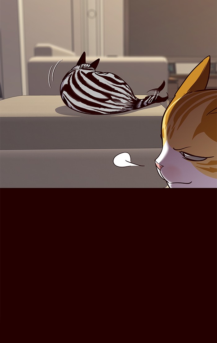 Read Eleceed – Manhwa EN Manga Online