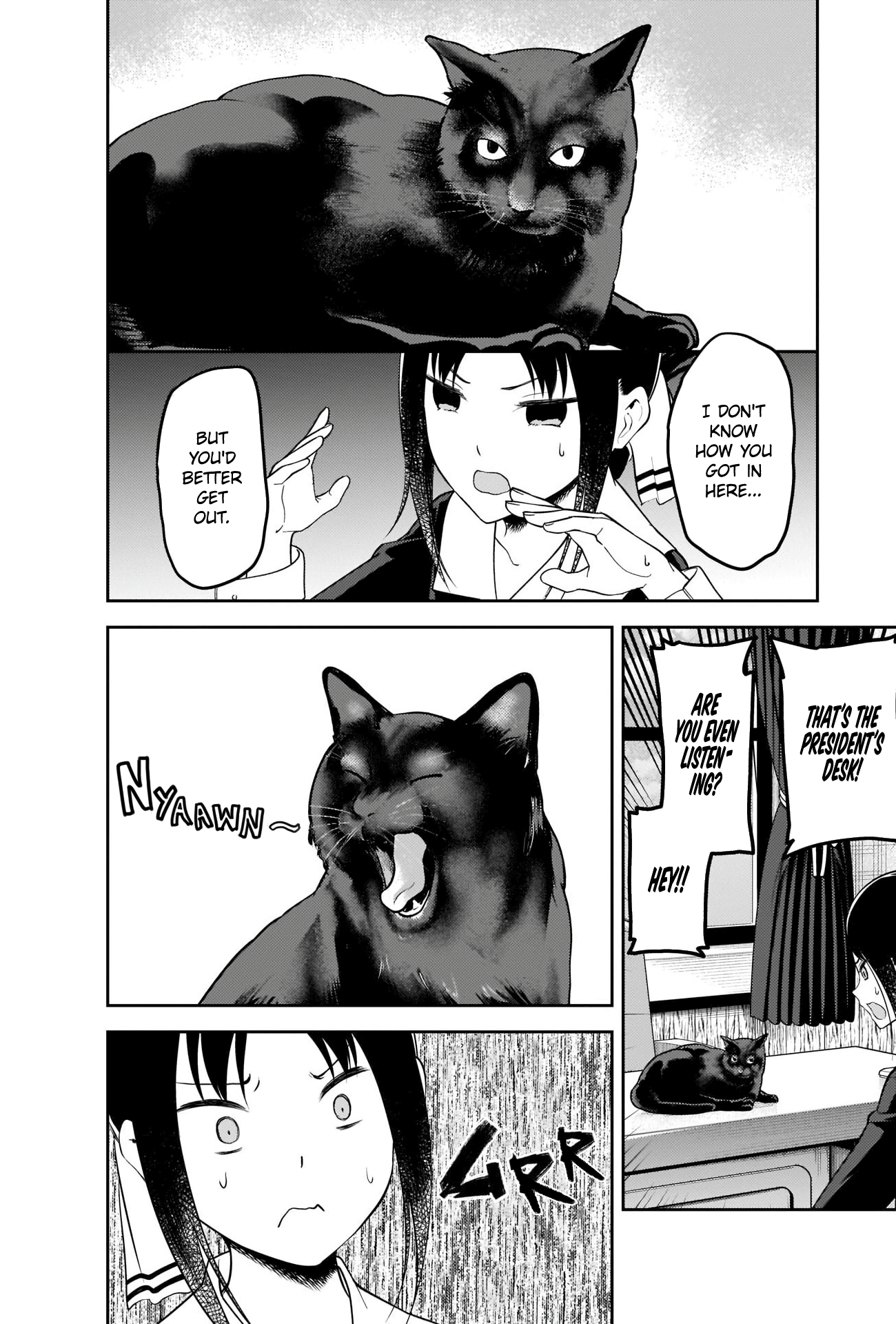 Read Kaguya sama Love is War EN Manga Online