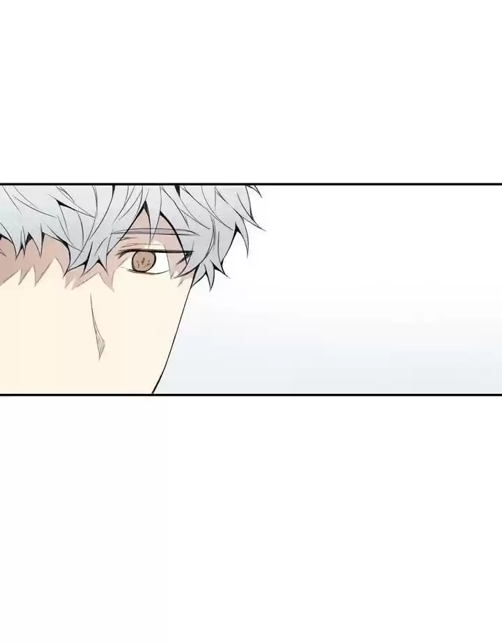 Read Cherry Blossoms After Winter PT Manga Online