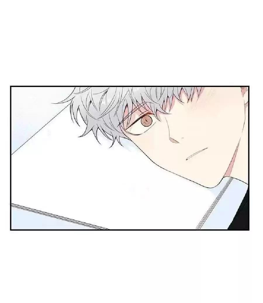 Read Cherry Blossoms After Winter PT Manga Online