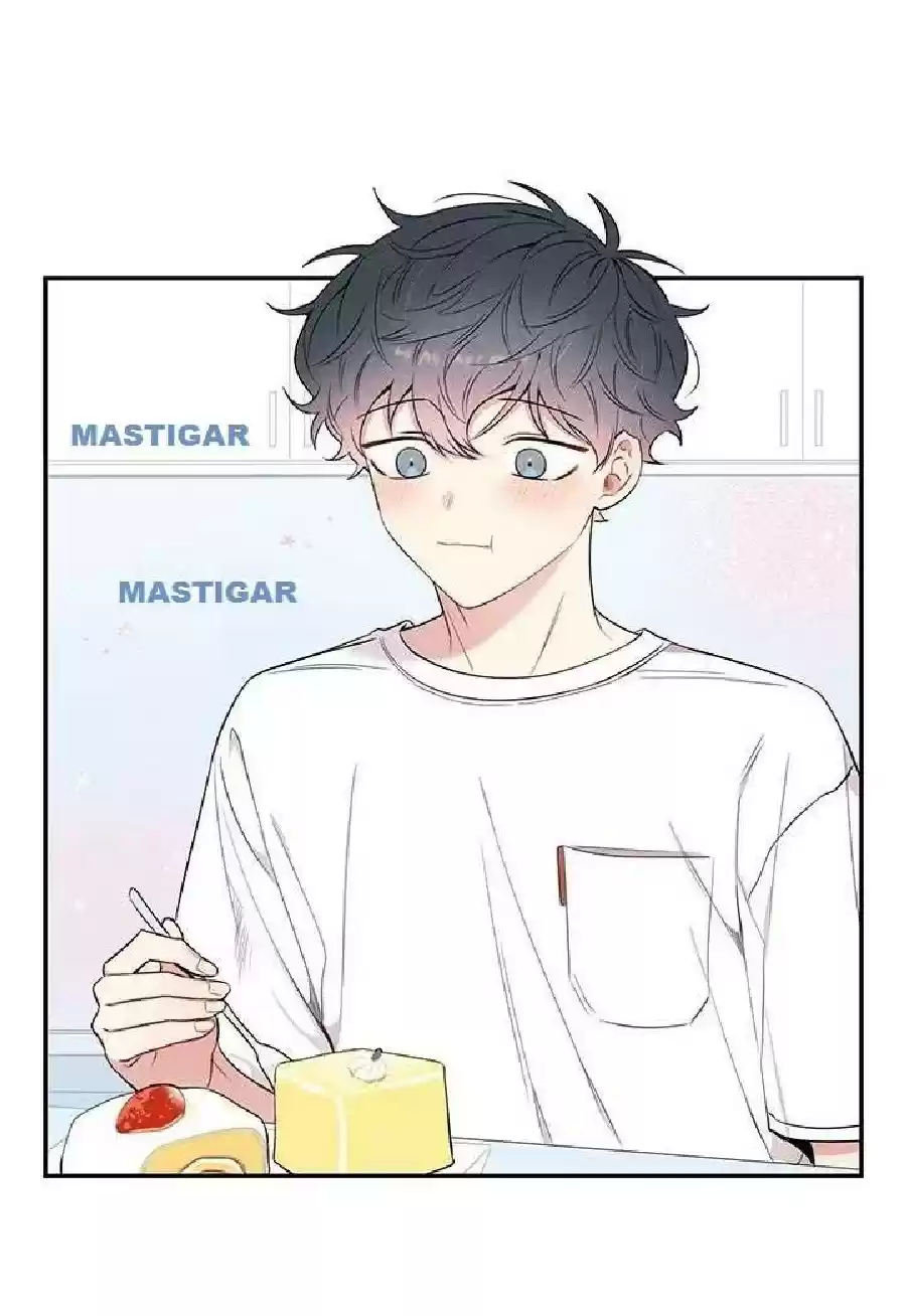 Read Cherry Blossoms After Winter PT Manga Online