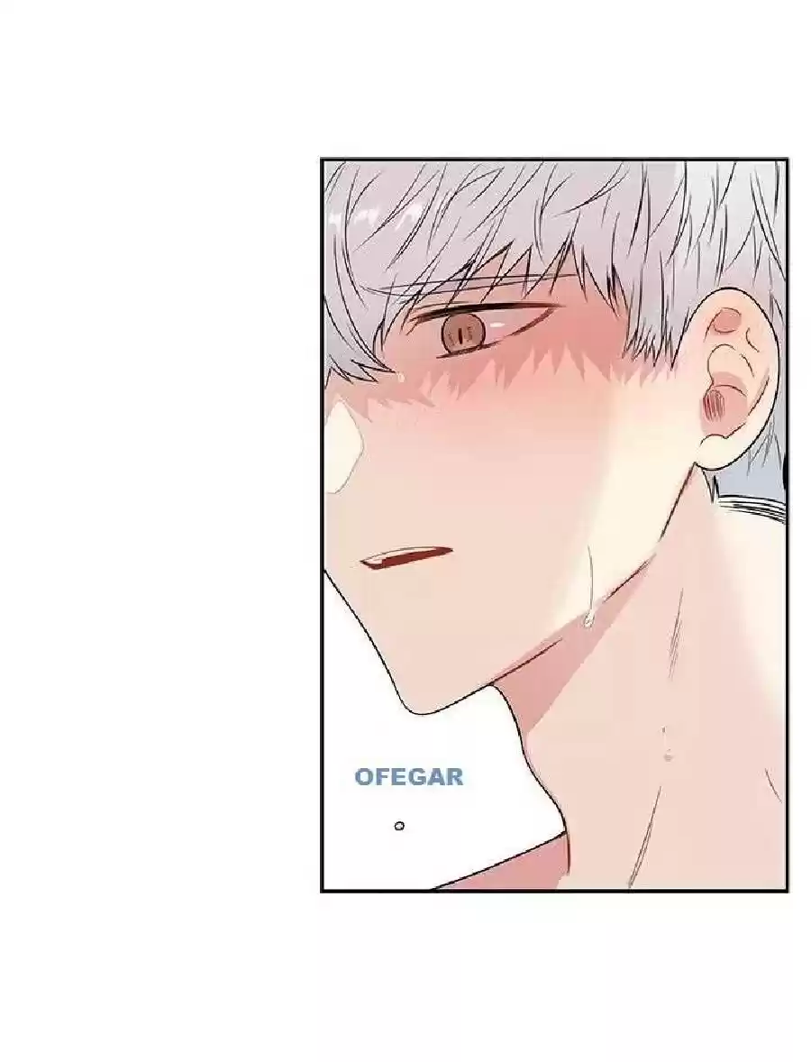 Read Cherry Blossoms After Winter PT Manga Online