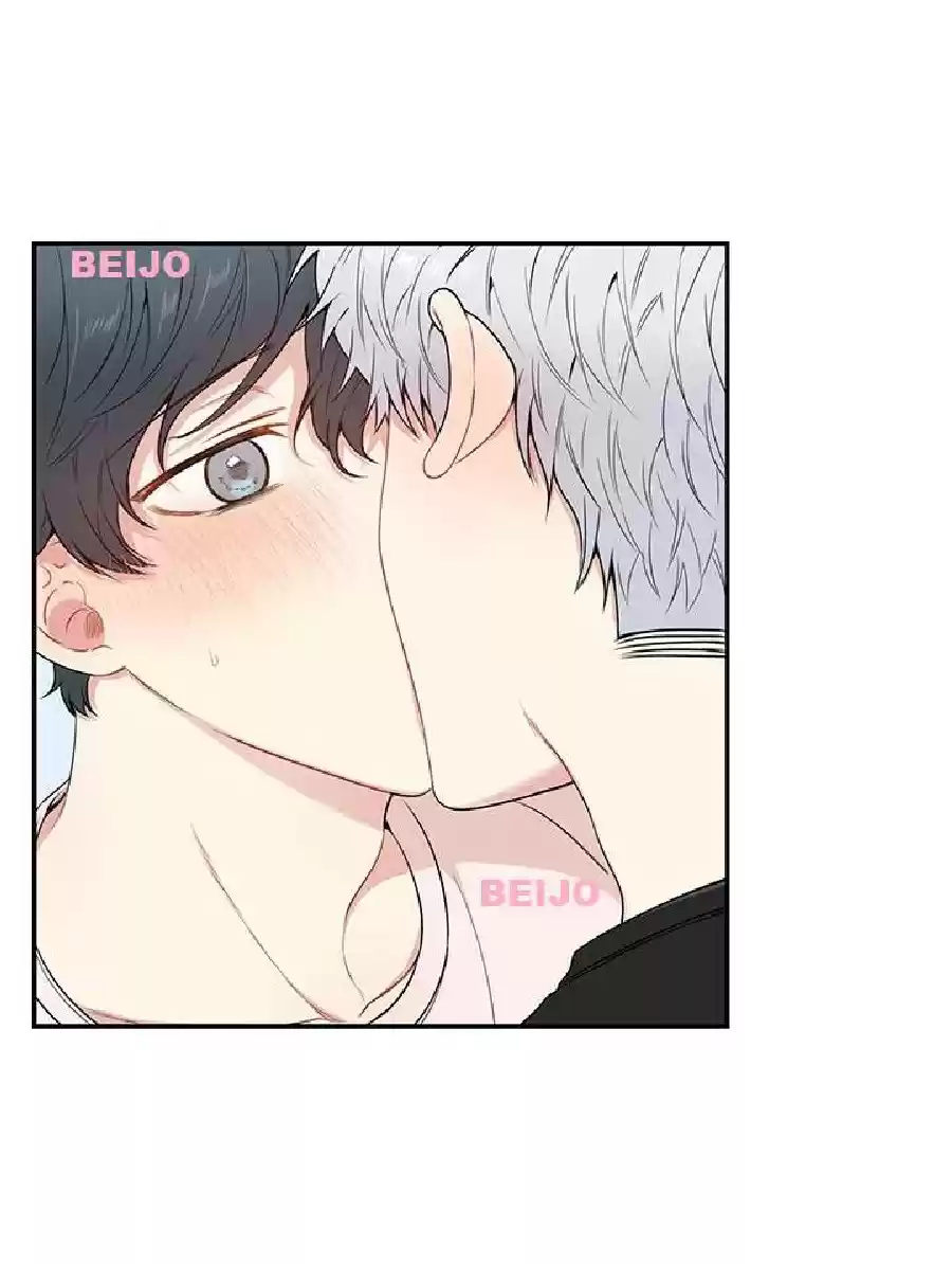 Read Cherry Blossoms After Winter PT Manga Online