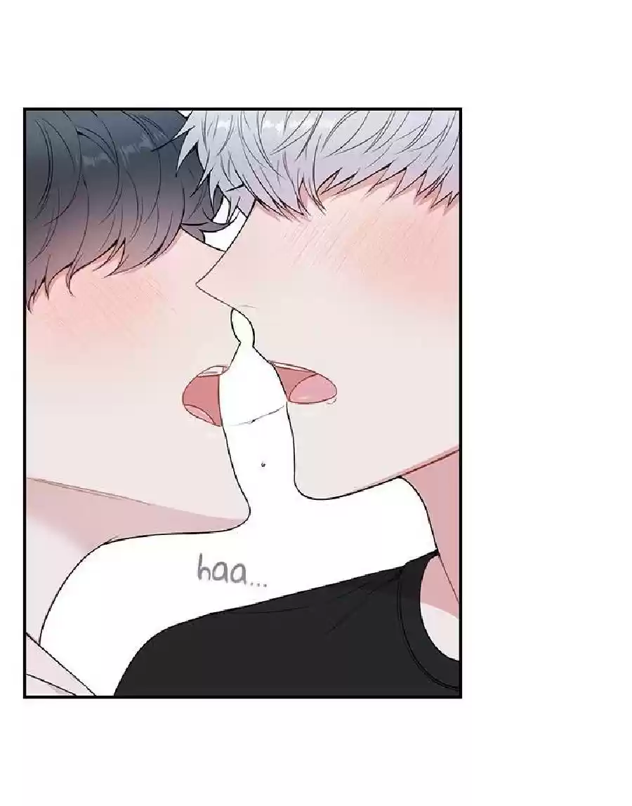 Read Cherry Blossoms After Winter PT Manga Online