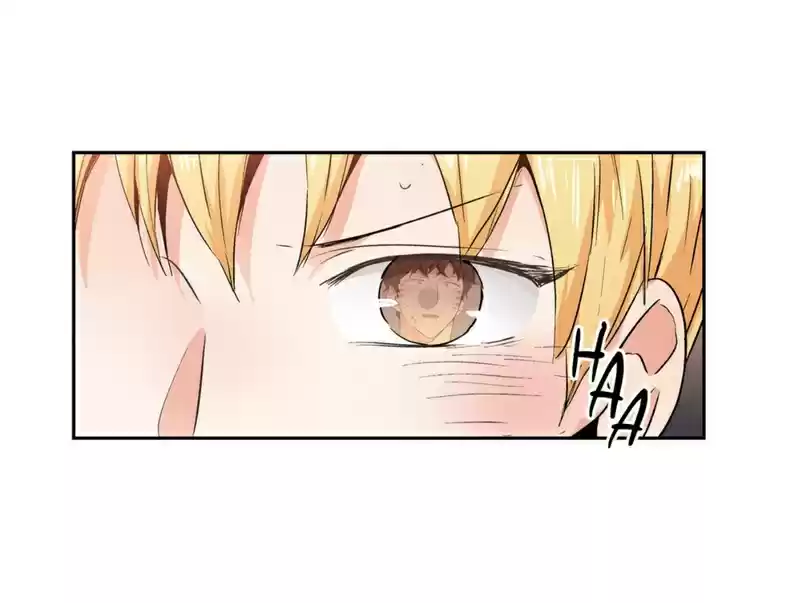 Read Love Is An Illusion PT Manga Online