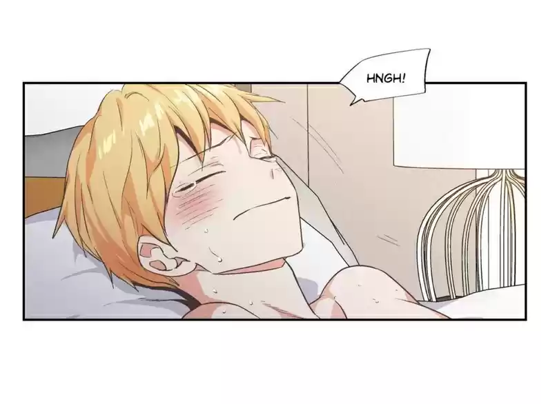 Read Love Is An Illusion PT Manga Online