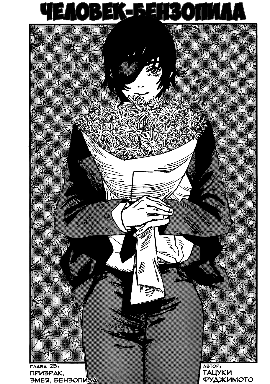 Read Chainsaw Man RU Manga Online