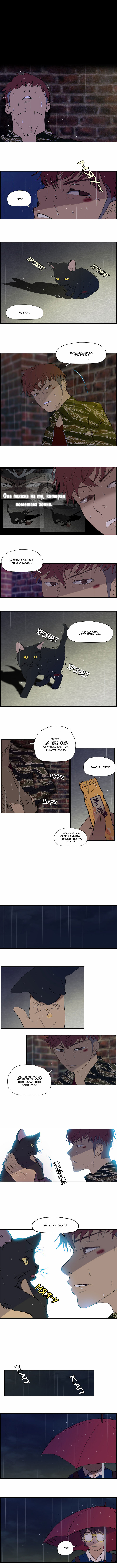 Read Wind Breaker RU Manga Online