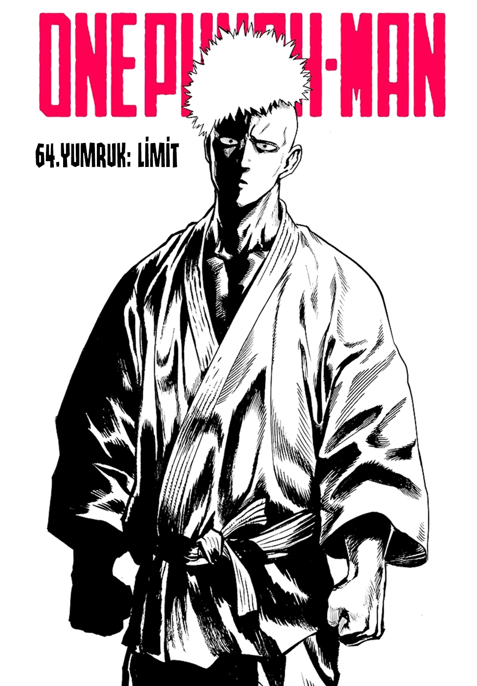 Read Tek Yumruk TR Manga Online