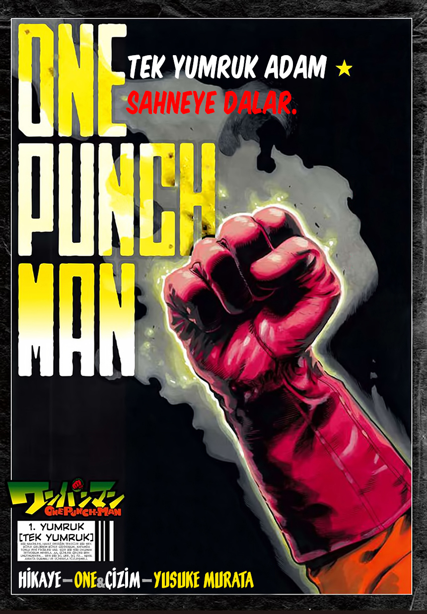 Read Tek Yumruk TR Manga Online